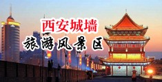 男人操女人逼逼,流出白浆小视频中国陕西-西安城墙旅游风景区